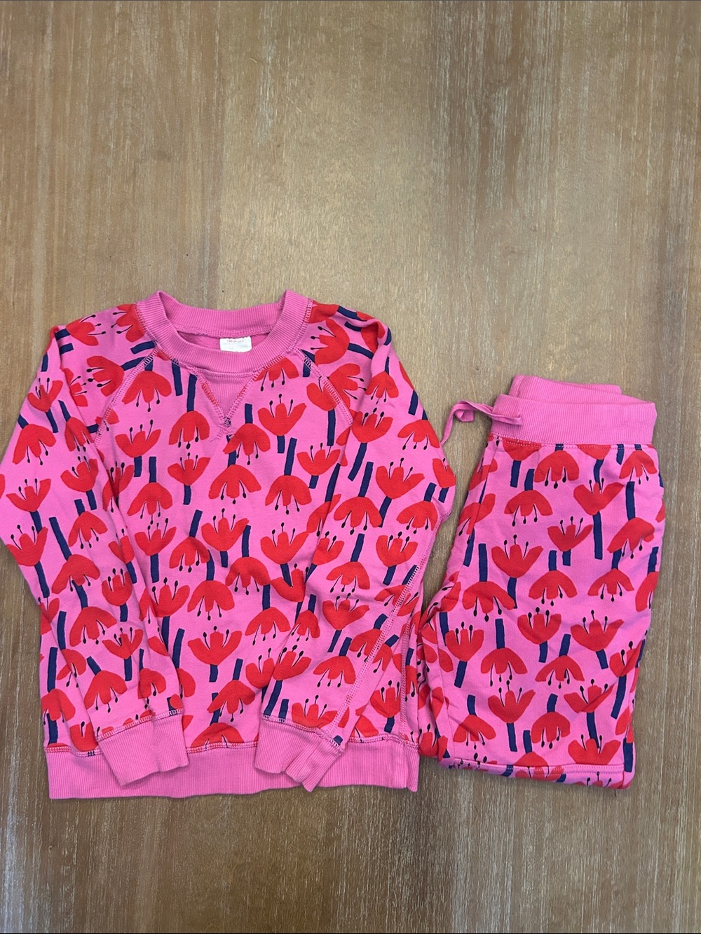 Hanna Andersson Pink and Red Floral Kids  Sweatsuit